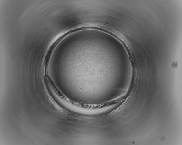 X0000090971127200708091430