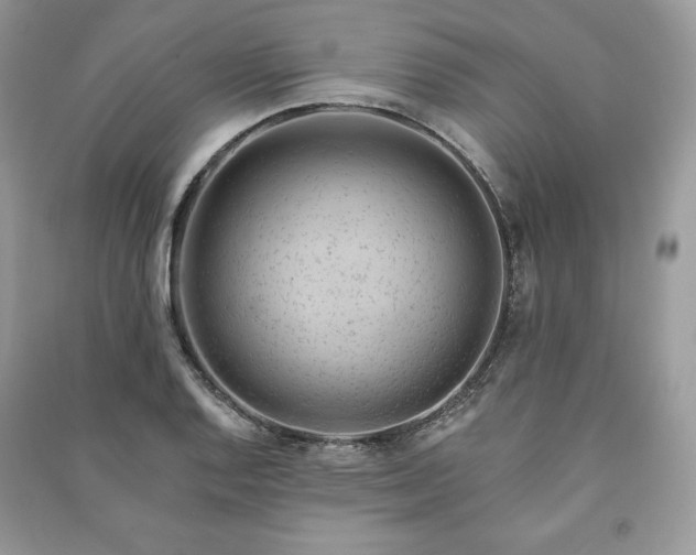 X0000090971128200708091430