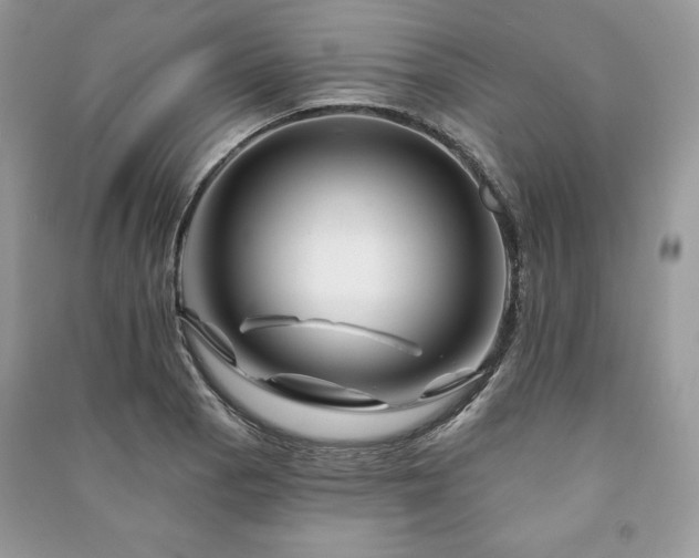 X0000090971129200708091430