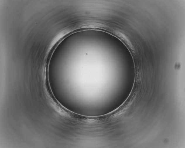 X0000090971130200708091430