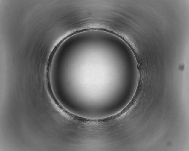 X0000090971134200708091430