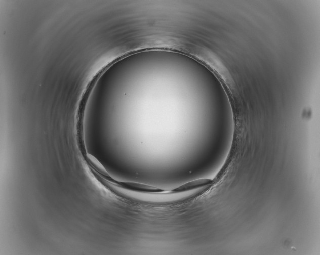 X0000090971135200708091430