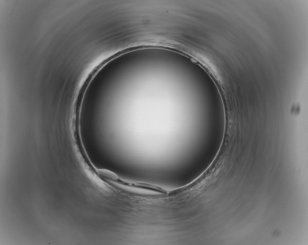 X0000090971136200708091430