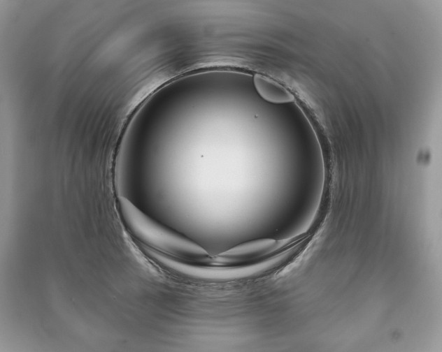 X0000090971137200708091430