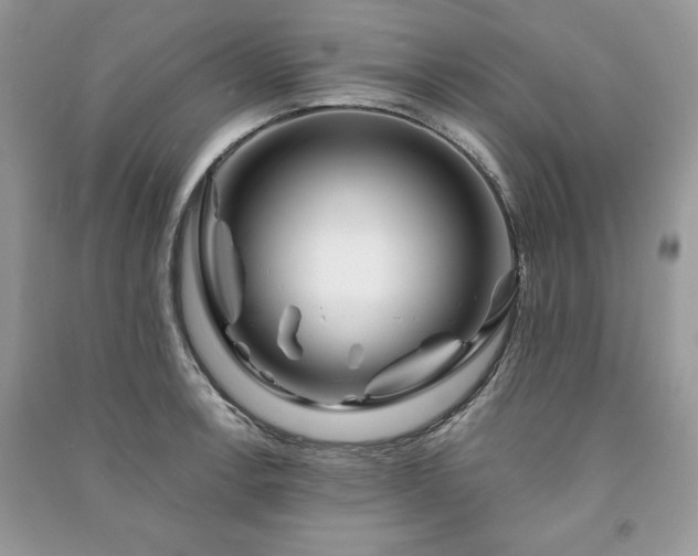 X0000090971138200708091430