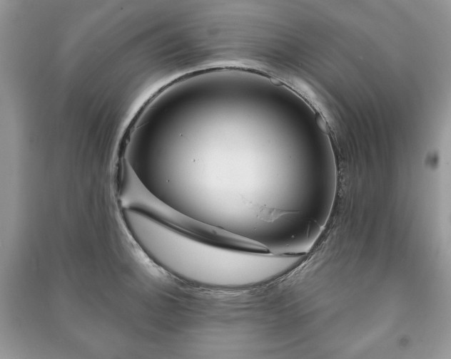 X0000090971140200708091430