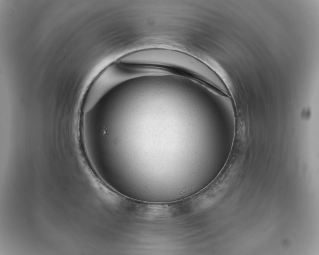 X0000090971144200708091430