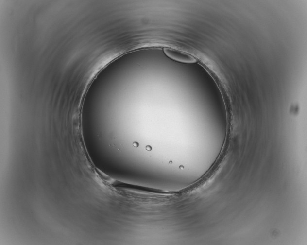 X0000090971145200708091430