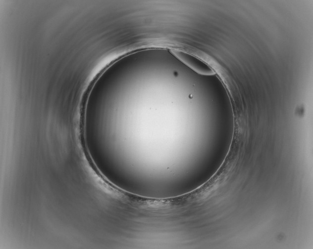 X0000090971147200708091430