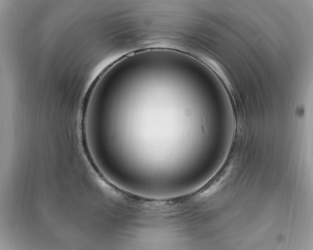 X0000090971149200708091430