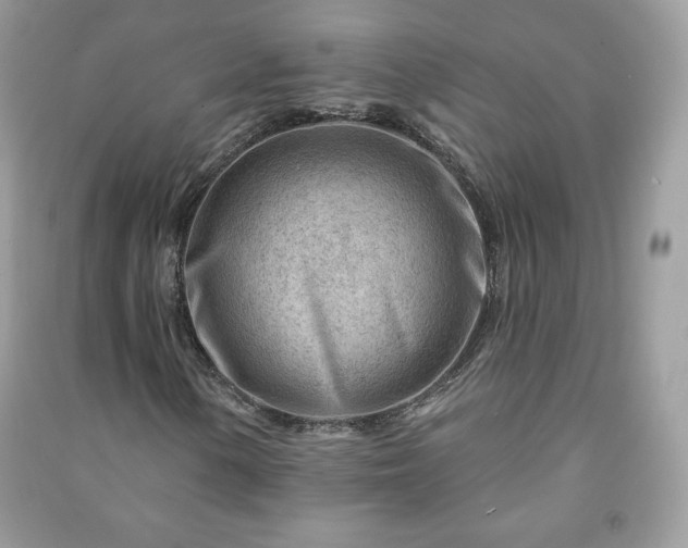 X0000090971154200708091429