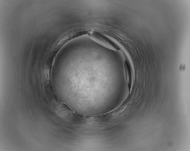 X0000090971155200708091429