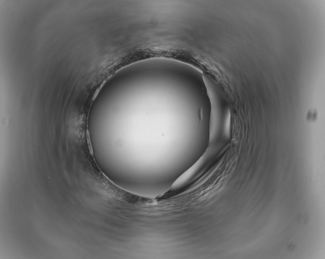 X0000090971156200708091429