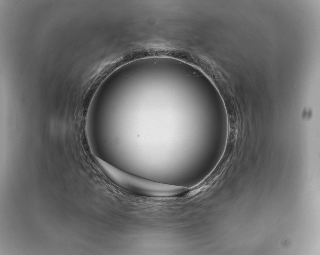 X0000090971157200708091429