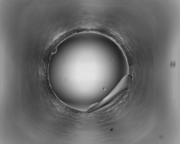 X0000090971158200708091429