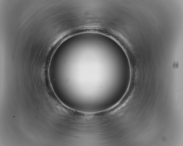 X0000090971162200708091429