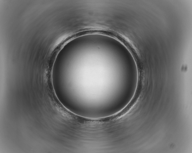 X0000090971163200708091429