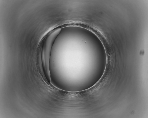 X0000090971165200708091429