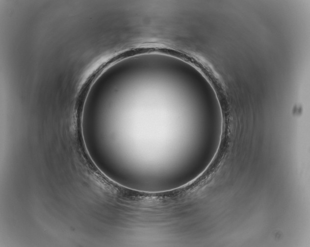 X0000090971167200708091429