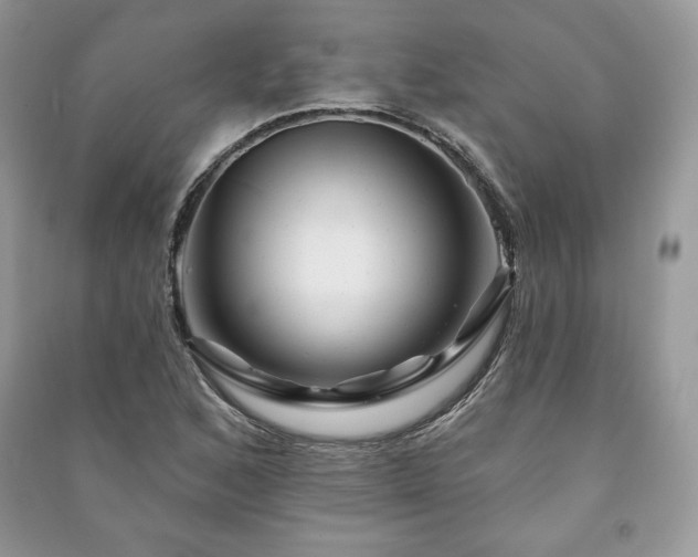 X0000090971168200708091429