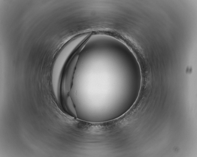 X0000090971169200708091429