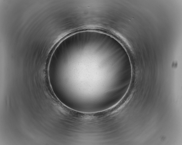 X0000090971170200708091429