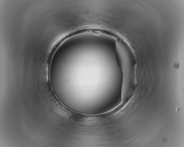 X0000090971171200708091429