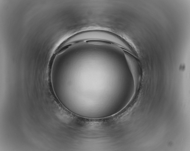 X0000090971173200708091429