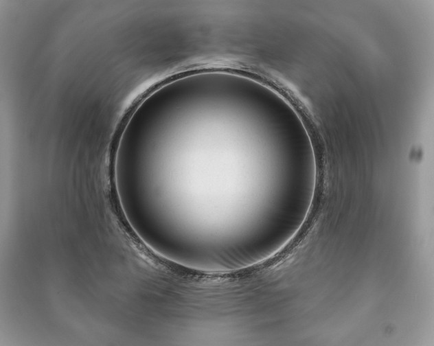 X0000090971174200708091429