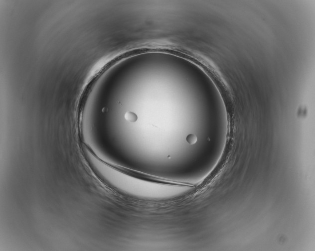 X0000090971176200708091429