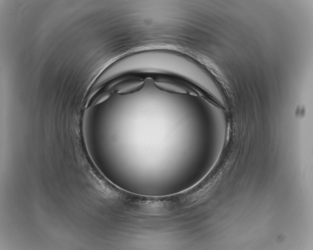 X0000090971177200708091429