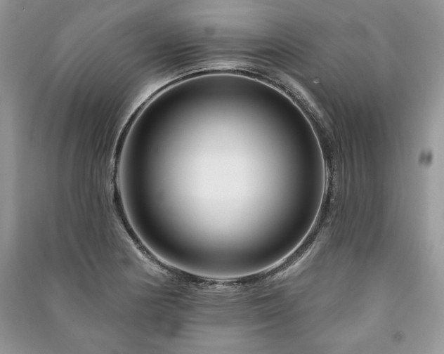 X0000090971178200708091429