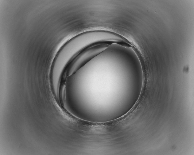 X0000090971181200708091429