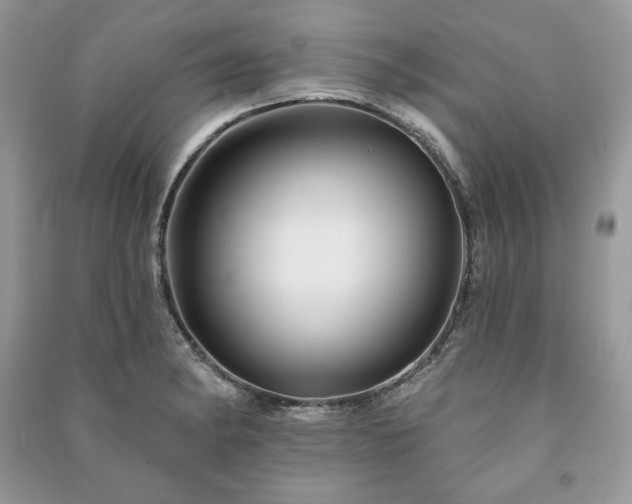 X0000090971182200708091429