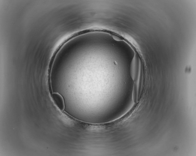 X0000090971183200708091429