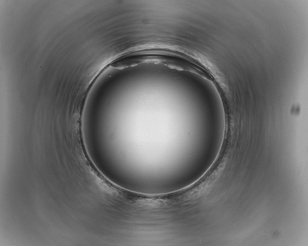 X0000090971185200708091429