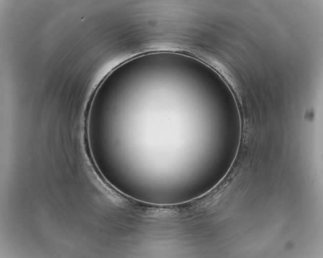 X0000090971187200708091429