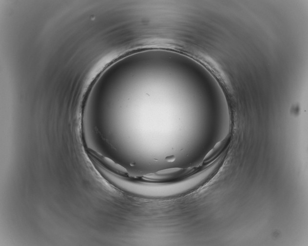 X0000090971188200708091429