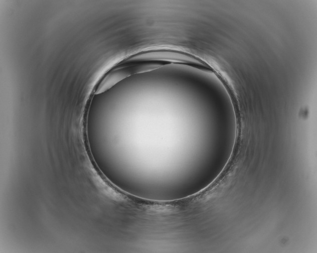 X0000090971189200708091429