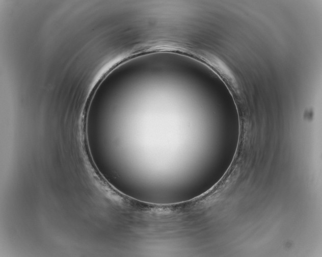 X0000090971190200708091429