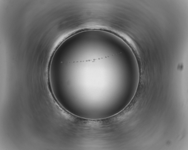 X0000090971191200708091429