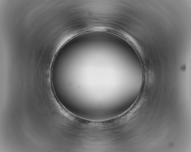 X0000090971194200708091429