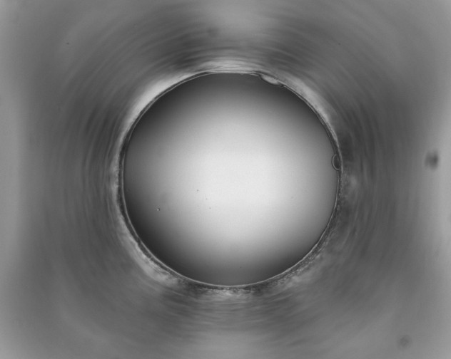 X0000090971195200708091429