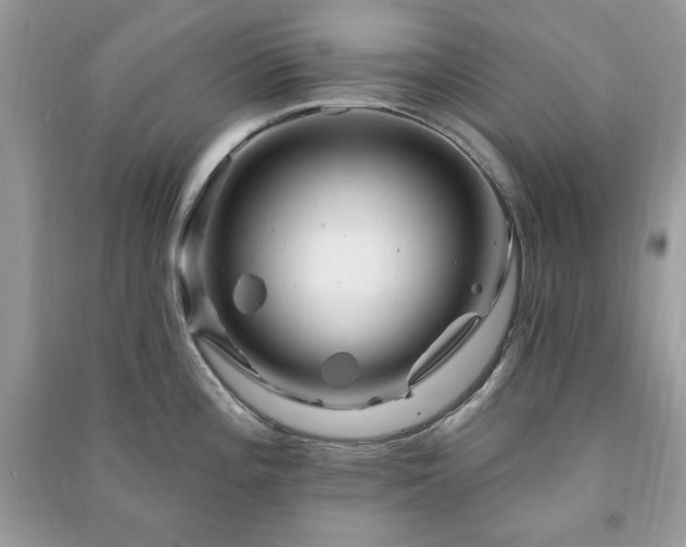 X0000090971196200708091429