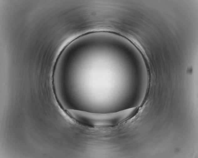 X0000090971197200708091429