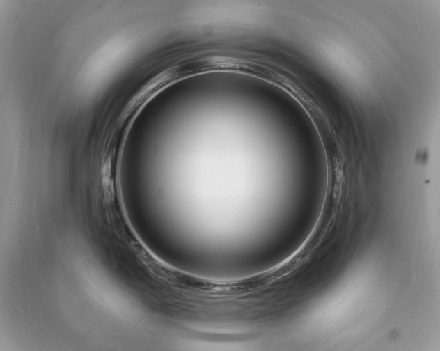 X0000090971198200708091429