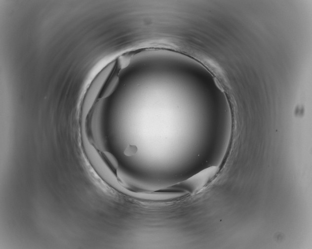 X0000090971200200708091429