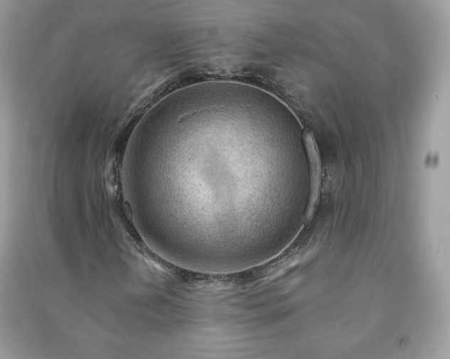 X0000090971202200708091428