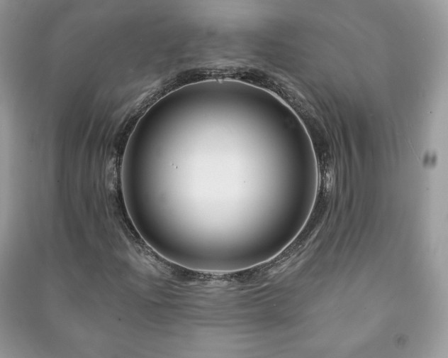 X0000090971204200708091428