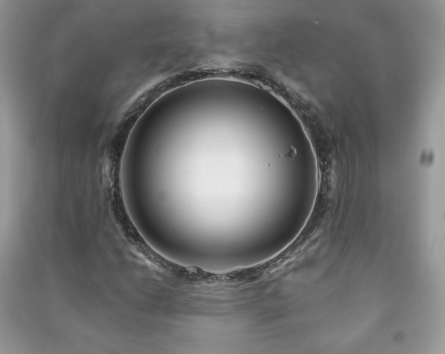 X0000090971206200708091428